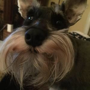 Meet your Posher, Debbie